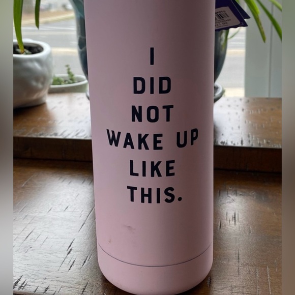 •NWT•World Market Yes Studio Insulated Stainless Steel Water Bottle - Picture 5 of 12